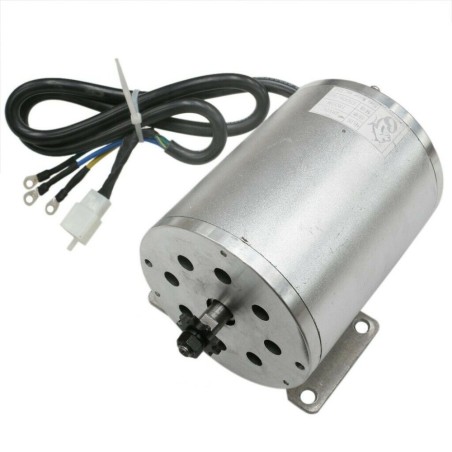 Motor 2000W 60V