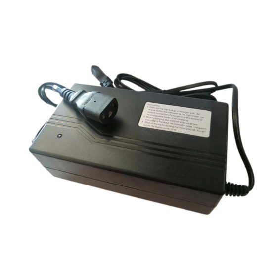 Cargador 48V Schuko Plomo